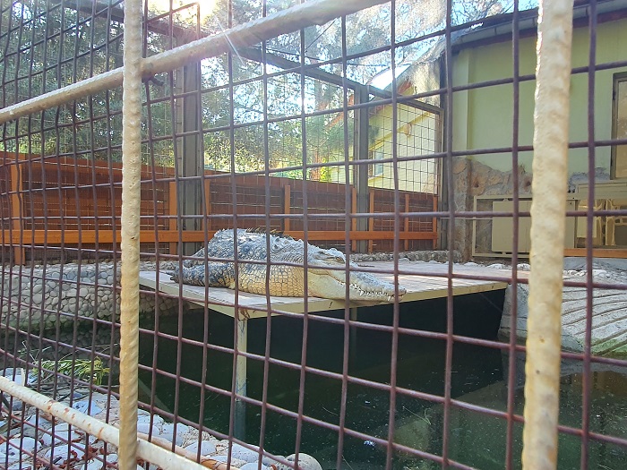 Antalya Zoo Subdivisions and species of animals