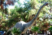 Dinosaur park Dino Park in Antalya For Kids And Young People