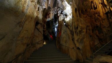 Dwarf Cave